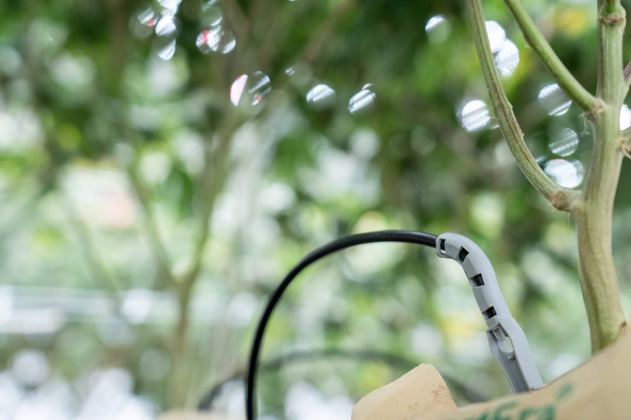 Maximizing water efficiencies in indoor growing operations