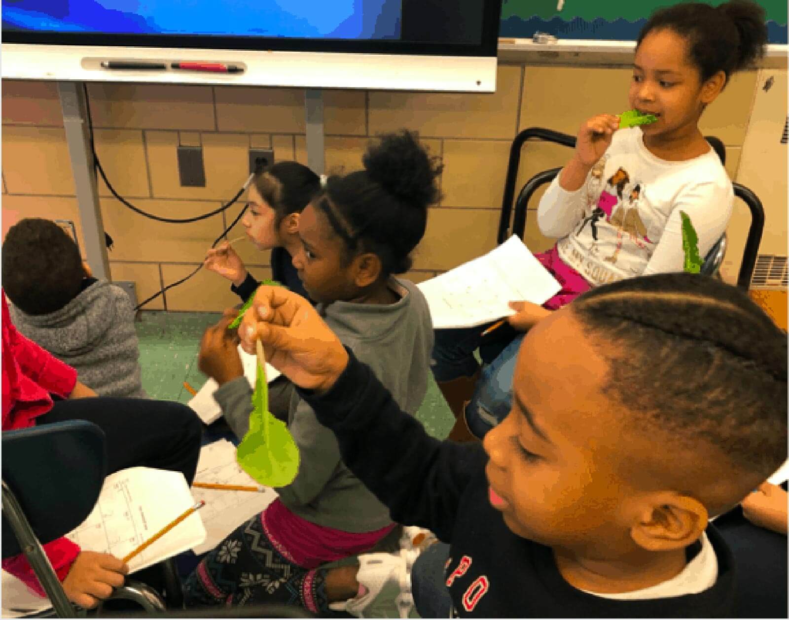 Hydro gardening increases students’ interest in STEM School