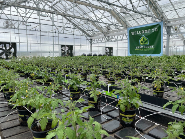 Hawthorne Gardening Company Opens Doors To New Greenhouse To Fight Community Hunger