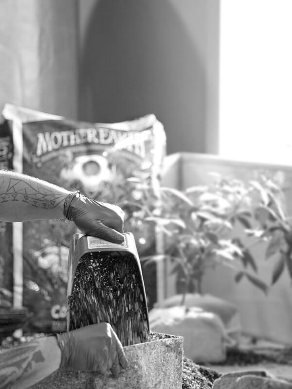 Hawthorne Gardening Co.