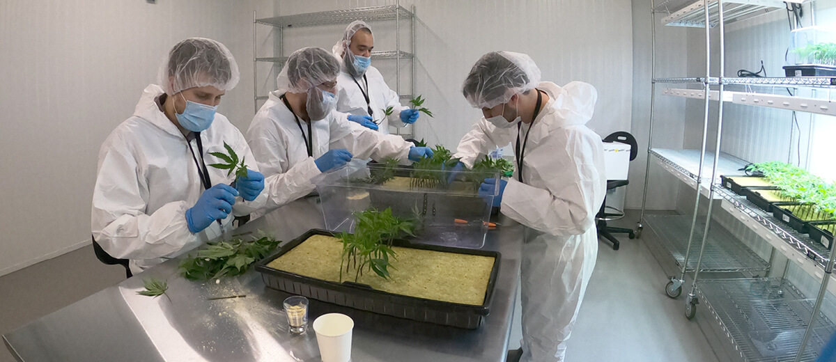 Kelowna_Employees Flowr and Hawthorne Canada Complete North America’s First Cannabis Research and Development Facility of its Kind