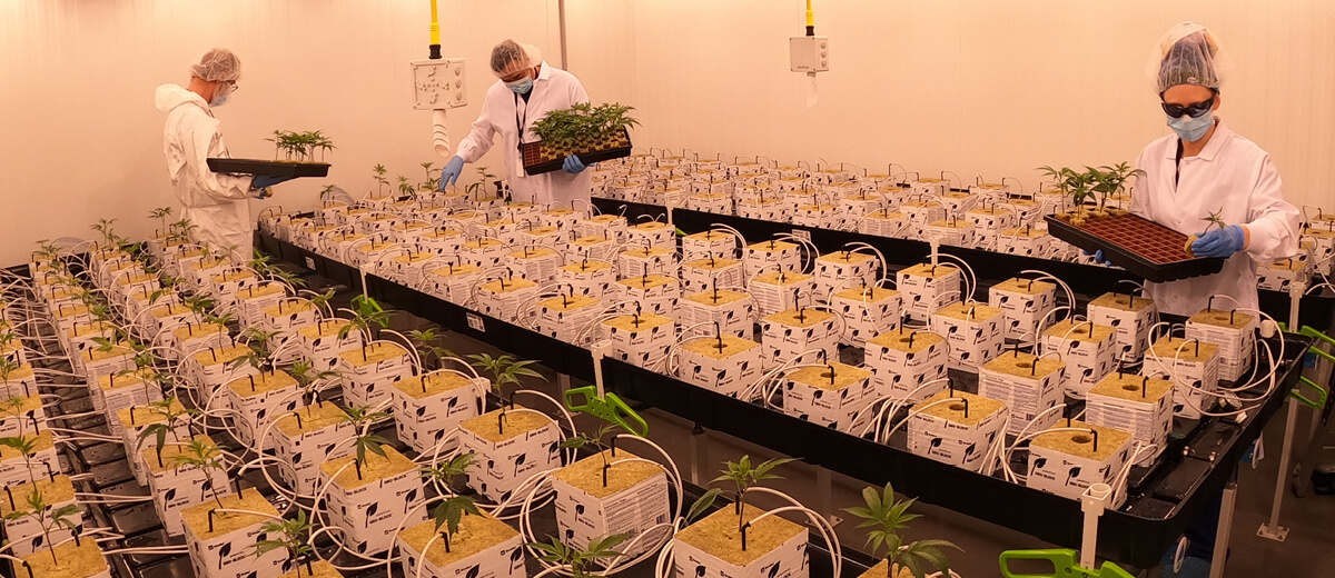 Kelowna_Grow2 Flowr and Hawthorne Canada Complete North America’s First Cannabis Research and Development Facility of its Kind
