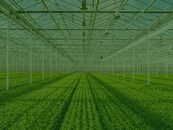 Growing Environment (Hubspot)