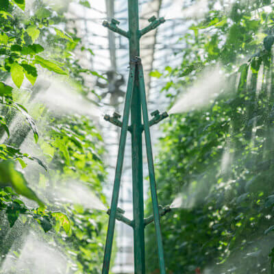 Irrigation Essentials – Webinar