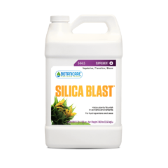 bc supplements 0012 silica blast