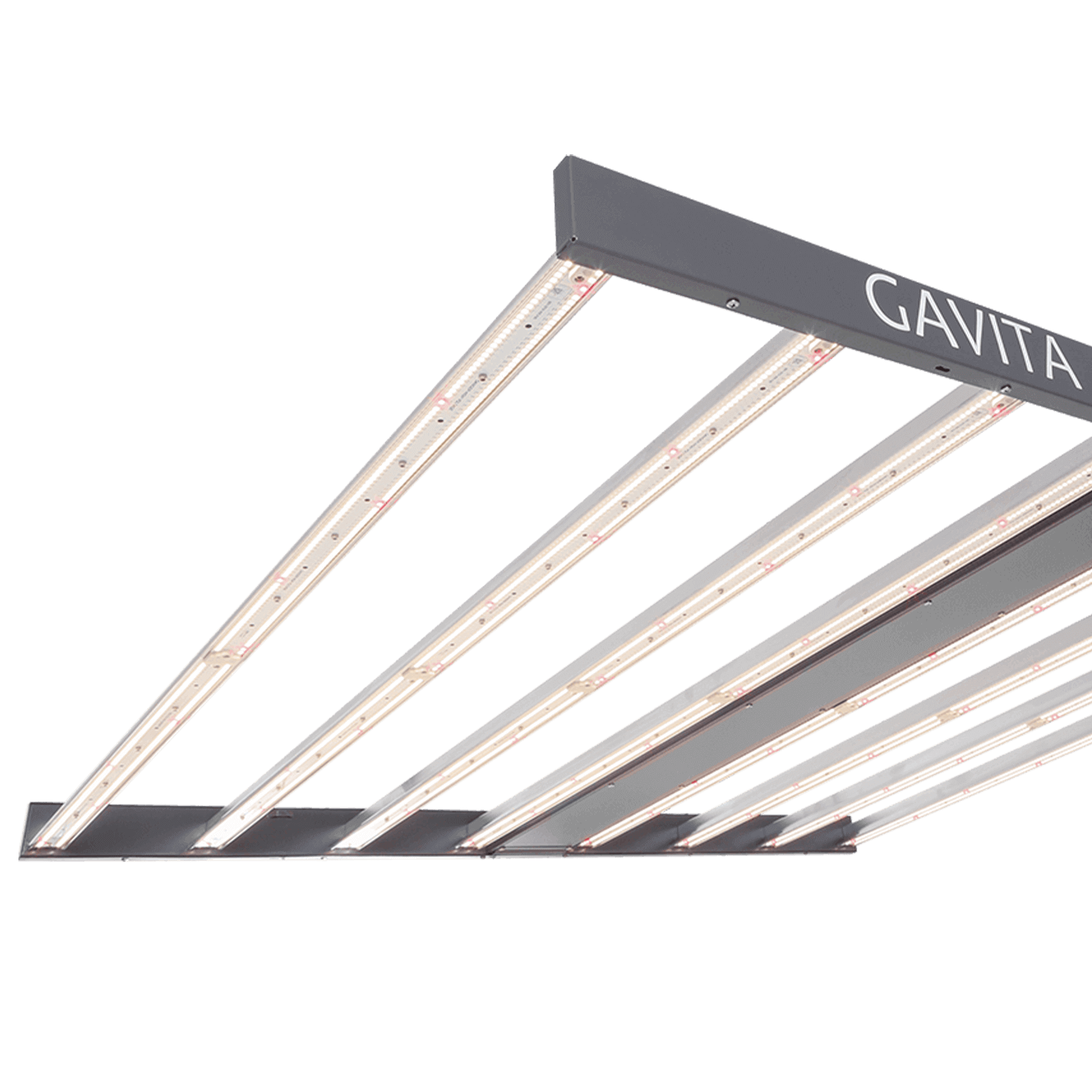 Footer – Built to serve