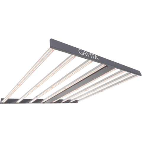 hawthorne_product-gavita-1200px