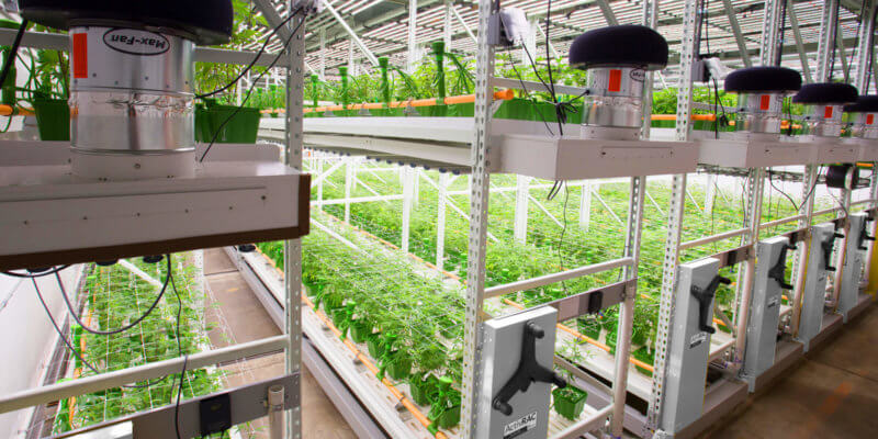 Growing Environment (Hubspot)
