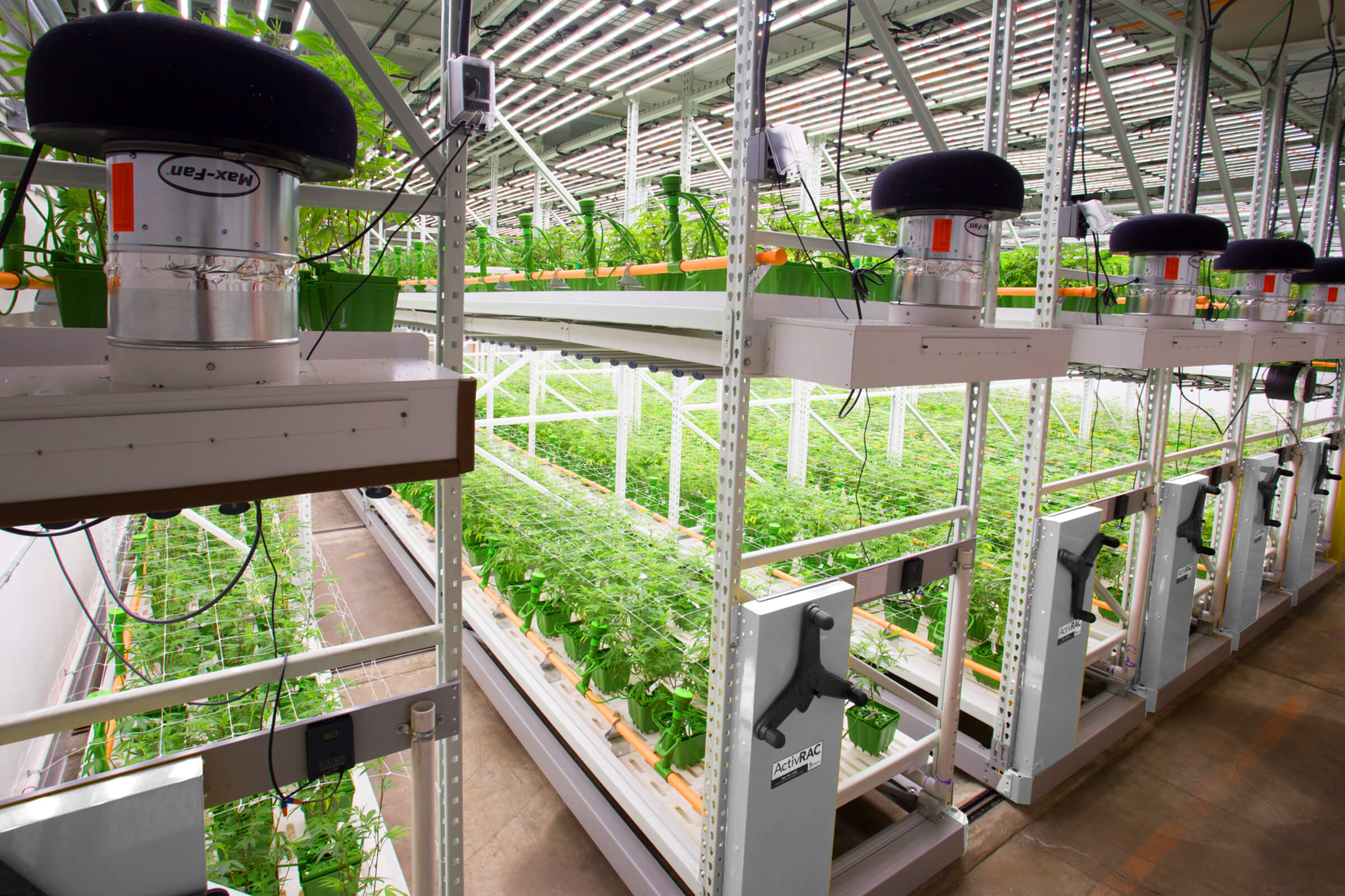 Vertical Growing - Hawthorne Gardening Co.